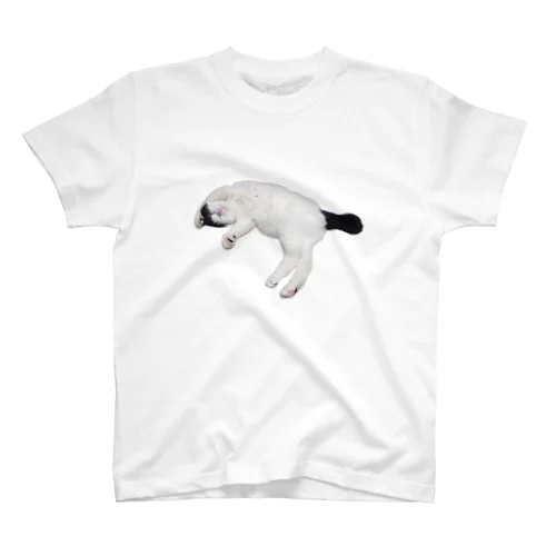 尻尾が短い保護猫 たぬちゃん Regular Fit T-Shirt