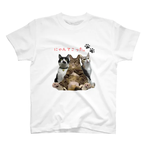 にゃんてこった。の3ニャンズ Regular Fit T-Shirt