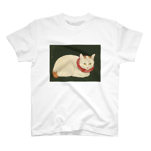 猫 スタンダードTシャツ