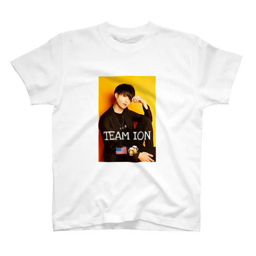 TEAM ION 色付きグッズ スタンダードTシャツ