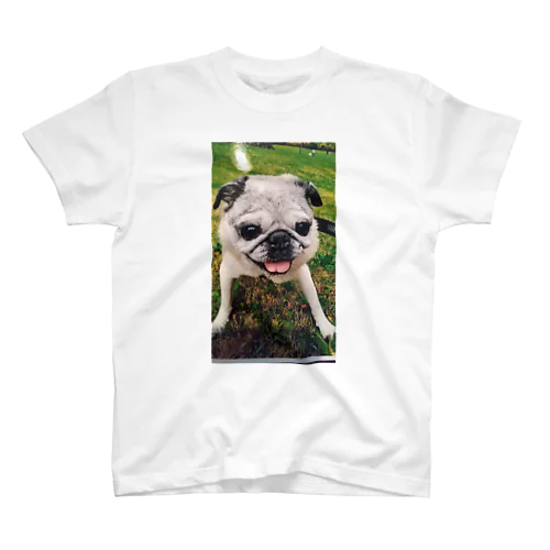 パグ犬たいよう Regular Fit T-Shirt