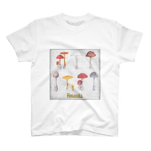 I Love Amanita スタンダードTシャツ