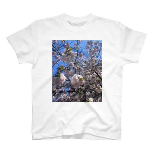 桜🌸 スタンダードTシャツ