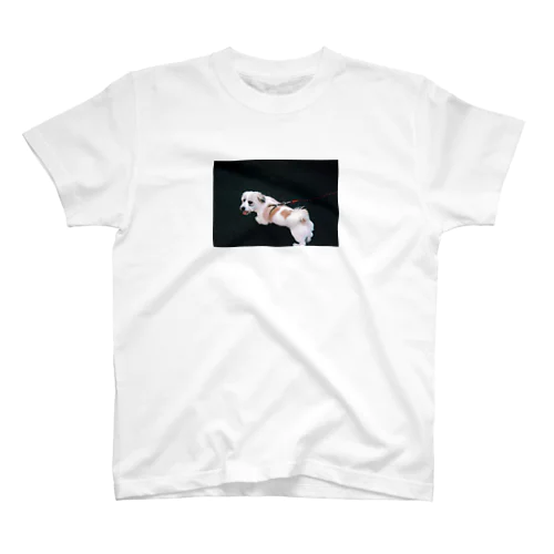 boss Regular Fit T-Shirt