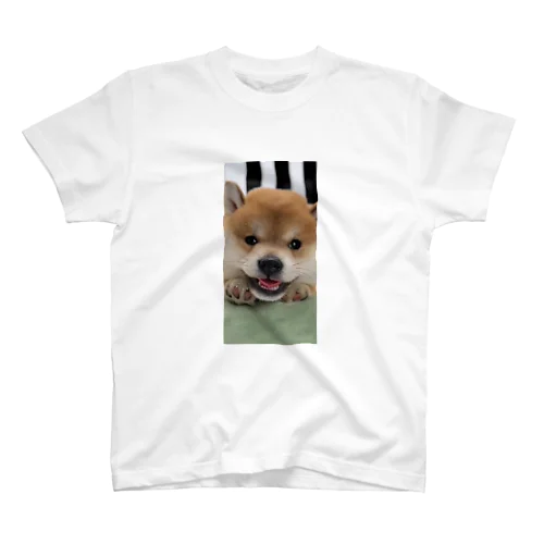 らくらく柴犬 Regular Fit T-Shirt