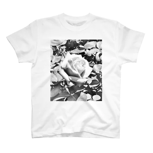 Rose(Monochrome) Regular Fit T-Shirt