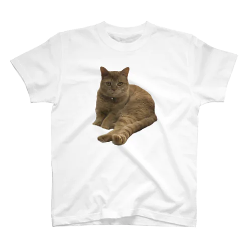 わがやの猫(こむぎ) Regular Fit T-Shirt