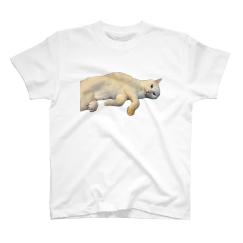 わがやの猫(こはる) Regular Fit T-Shirt