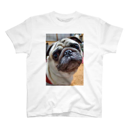 Pugのぱぐお Regular Fit T-Shirt