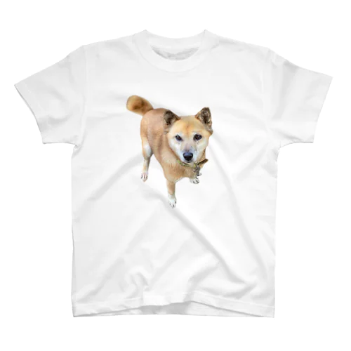 お座りする柴犬チビちゃん Regular Fit T-Shirt