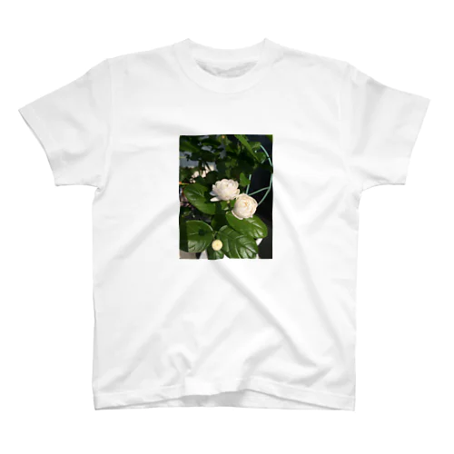 真夏の芳香 スタンダードTシャツ