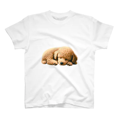 犬　トイプードル　昼寝　Ｔシャツ スタンダードTシャツ