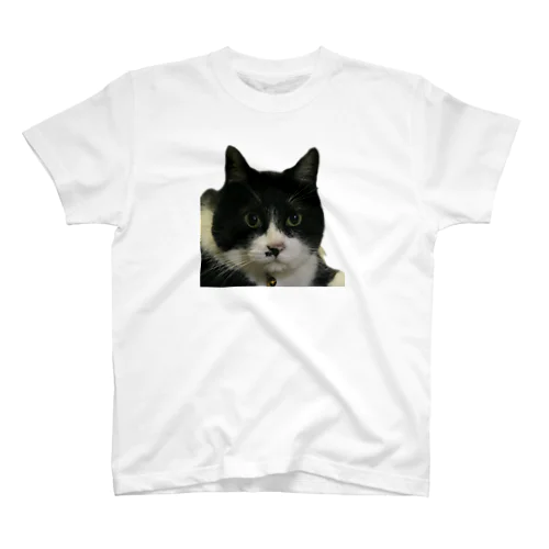黒白ネコ　タオ Regular Fit T-Shirt