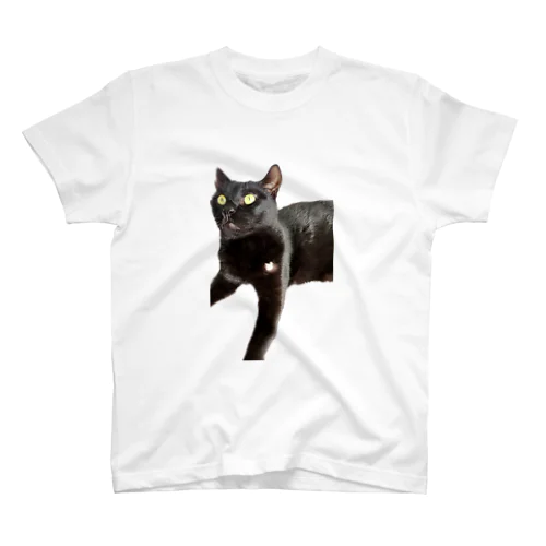 はげちゃった？黒猫 Regular Fit T-Shirt