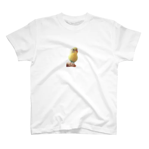 フォトブック完成記念♪ セキセイインコ 夏樹くん Regular Fit T-Shirt