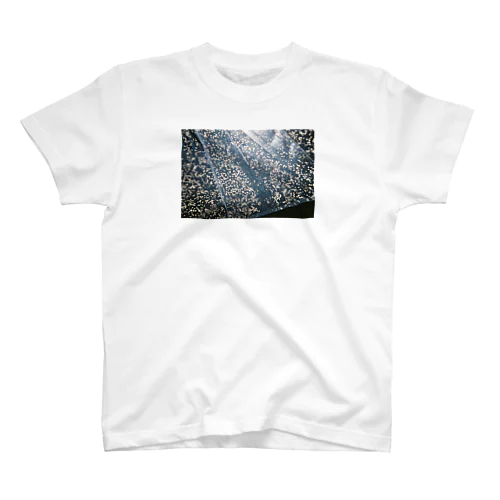 Rainy Day☔️ スタンダードTシャツ