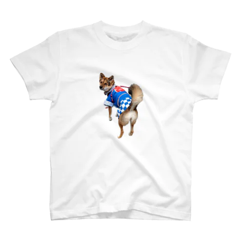 祭犬ちょこ Regular Fit T-Shirt
