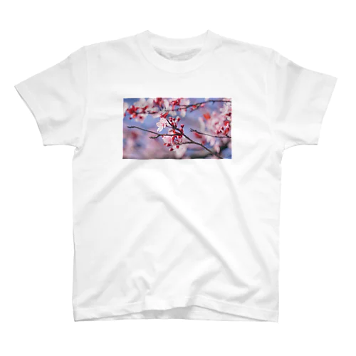 Sakura en France. スタンダードTシャツ