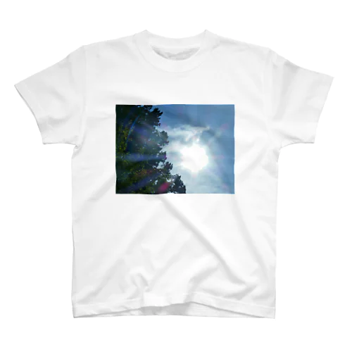 木と太陽 Regular Fit T-Shirt