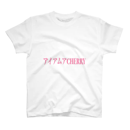 DT スタンダードTシャツ