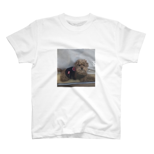 網戸からポンT Regular Fit T-Shirt