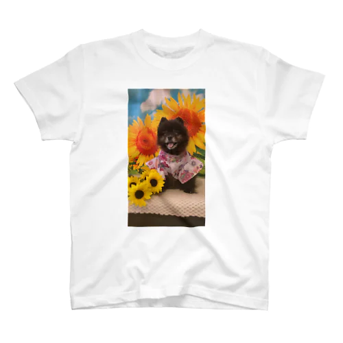 黒ポメランちゃん Regular Fit T-Shirt