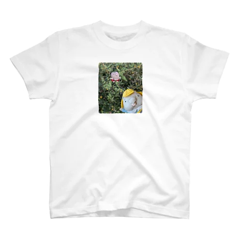 Mサイズ向け　ウォンバットようちえん　かくれんぼ　 Regular Fit T-Shirt