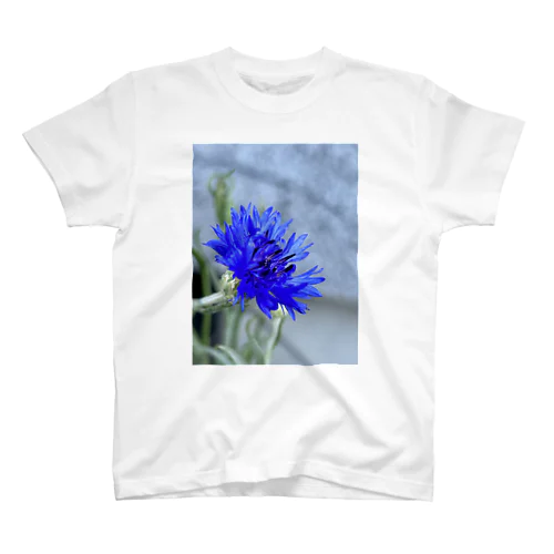 矢車草 Regular Fit T-Shirt
