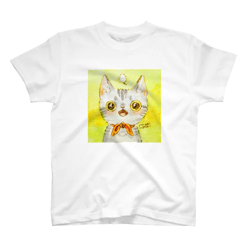 あっとおどろくサバトラちゃん スタンダードTシャツ