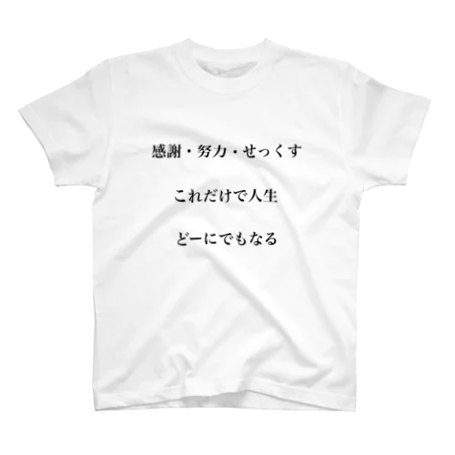 感謝努力せっくすT スタンダードTシャツ