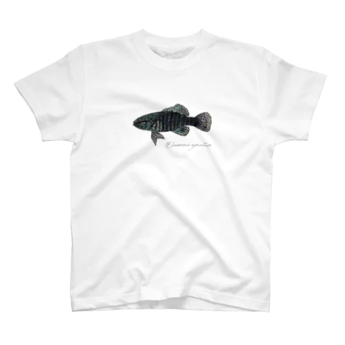 Elassoma zonatum スタンダードTシャツ