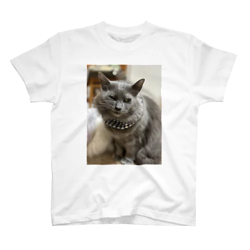 猫のるぅるぅくん Regular Fit T-Shirt