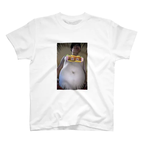 綺麗めな腹銀 Regular Fit T-Shirt