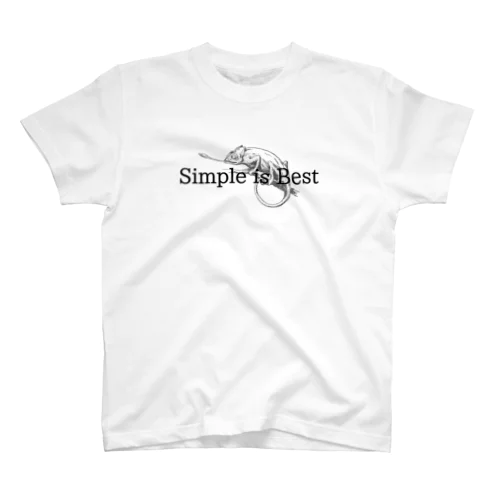 simple is best Regular Fit T-Shirt