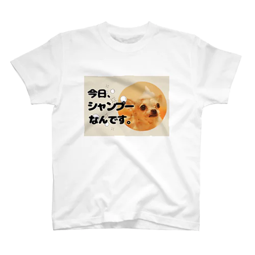 今日、シャンプーなんです。おでかけバッグ Regular Fit T-Shirt