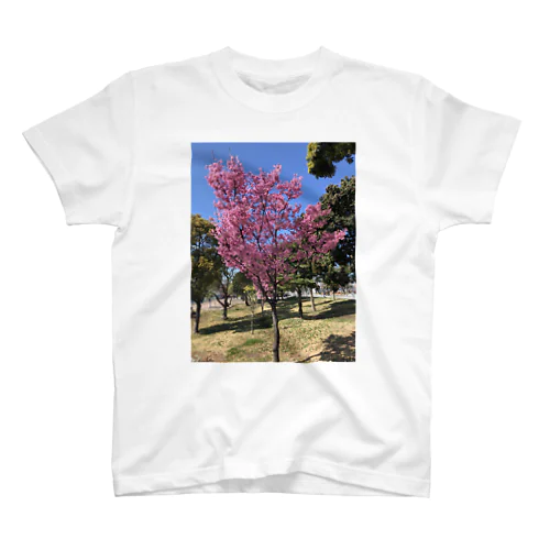 桜 スタンダードTシャツ