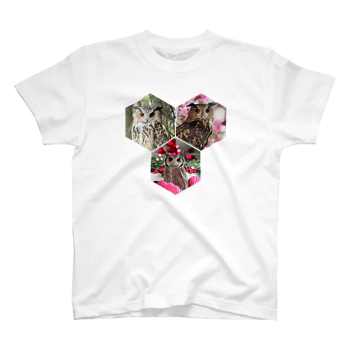 猛禽三銃士！ Regular Fit T-Shirt