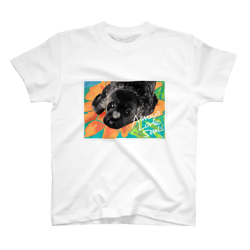 Always Love Seals Regular Fit T-Shirt