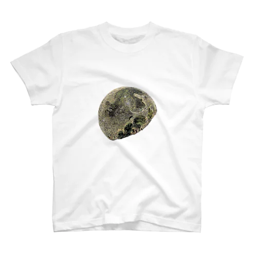月の表の顔と裏の顔 Regular Fit T-Shirt