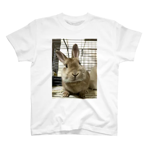 うちのお子🐰 Regular Fit T-Shirt