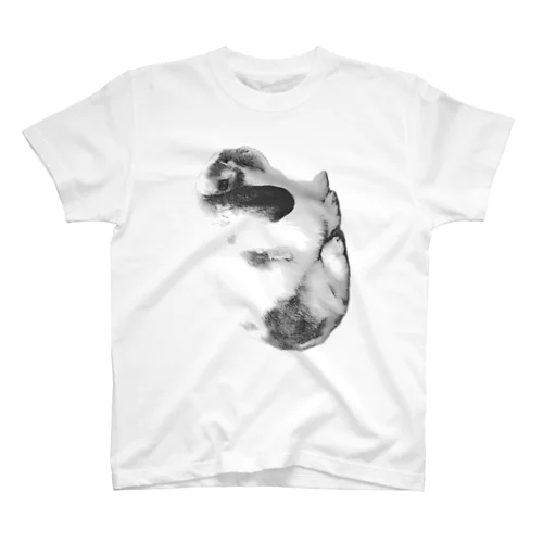 ウサ吉 無重力 グラビT Regular Fit T-Shirt