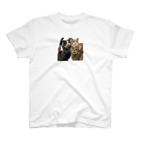 にゃんこ大集合！！ Regular Fit T-Shirt