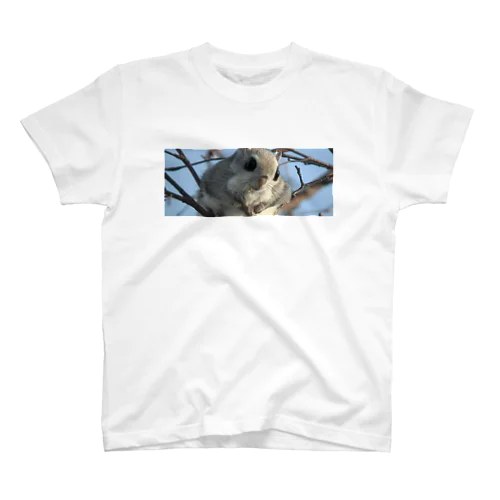 【#癒しの即戦力】サロベツのエゾモモンガ Regular Fit T-Shirt