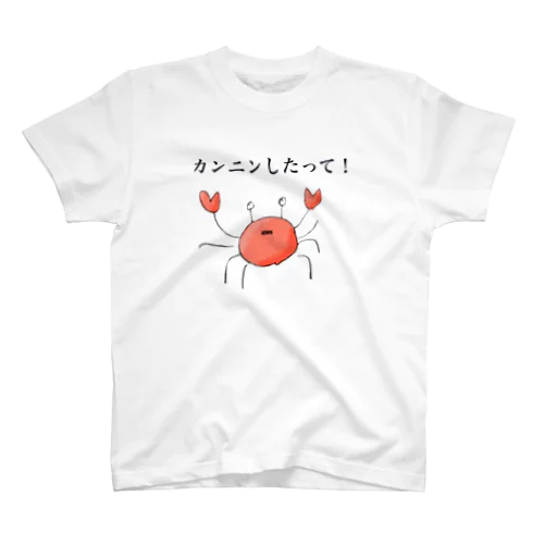 カンニンしたって スタンダードTシャツ