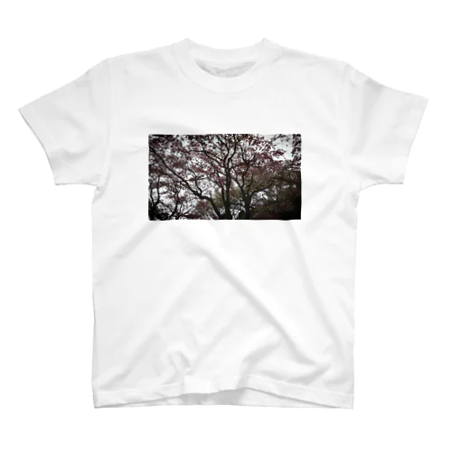 SAKURA スタンダードTシャツ