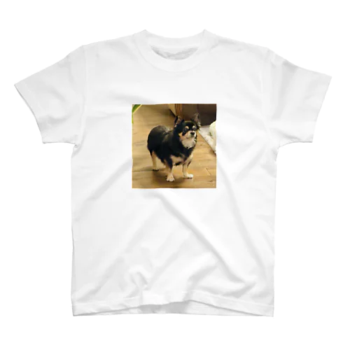 傍観する犬 Regular Fit T-Shirt