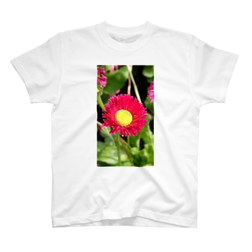 花)デイｼﾞｰｯ (￣＿￣) ･････! Regular Fit T-Shirt