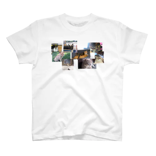 一匹猫じゃない Regular Fit T-Shirt