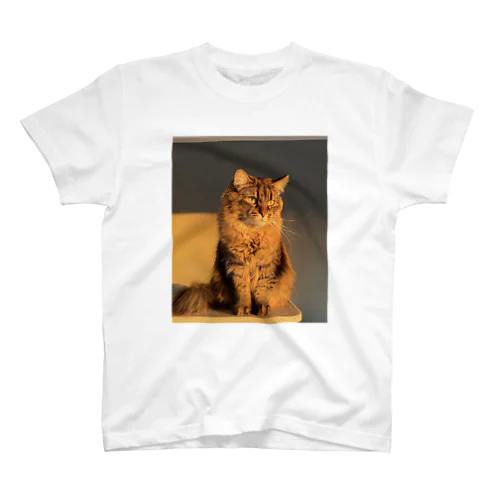 うちのねこ(実写) Regular Fit T-Shirt
