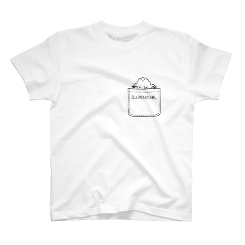 加水分解T Regular Fit T-Shirt